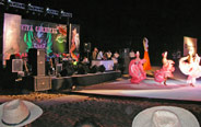 Viva Carnival in IITC 2012