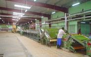 Vikram Tea Machinery