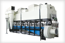 Vibratory Fluid Bed Dryer (VFBD)